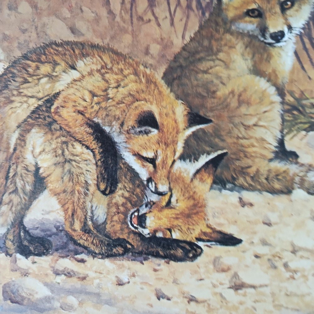 Bonnie Marris Spring Fever Red Fox Family Signed Numbered Lithograph #307/1000 - Picture 7 of 14